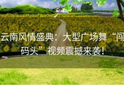 云南风情盛典：大型广场舞“闯码头”视频震撼来袭！