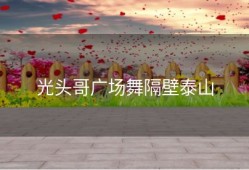 光头哥广场舞隔壁泰山