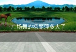 广场舞的杨丽萍多大了