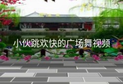 小伙跳欢快的广场舞视频