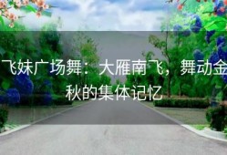 飞妹广场舞：大雁南飞，舞动金秋的集体记忆