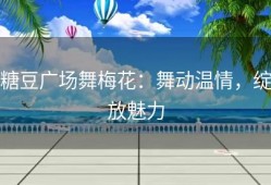 糖豆广场舞梅花：舞动温情，绽放魅力