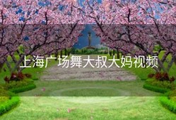 上海广场舞大叔大妈视频