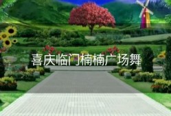 喜庆临门楠楠广场舞