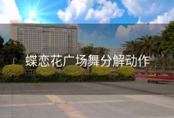 蝶恋花广场舞分解动作