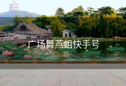 广场舞燕姐快手号