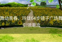 舞动青春，玲珑64步镜子广场舞引领潮流