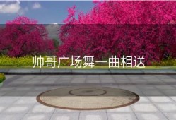 帅哥广场舞一曲相送