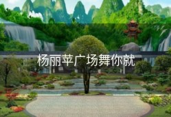 杨丽苹广场舞你就