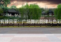 宥臻风采：广场舞的韵律与色彩
