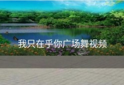 我只在乎你广场舞视频