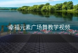 幸福元素广场舞教学视频