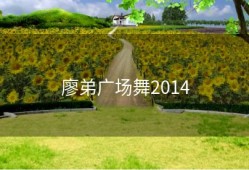 廖弟广场舞2014