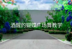 酒醒的蝴蝶广场舞教学