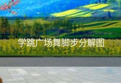 学跳广场舞脚步分解图