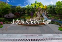 小女孩大花轿广场舞