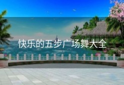 快乐的五步广场舞大全