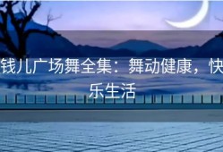 钱儿广场舞全集：舞动健康，快乐生活