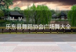 乐东县舞蹈协会广场舞大全