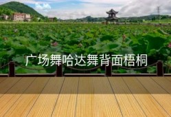 广场舞哈达舞背面梧桐