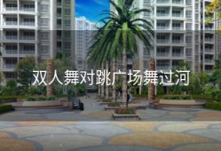双人舞对跳广场舞过河