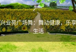 兴业苑广场舞：舞动健康，乐享生活