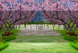 优酷舞姬广场舞歌曲