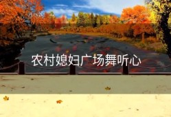 农村媳妇广场舞听心