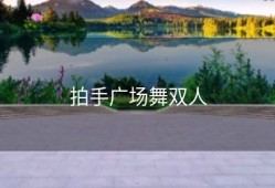 拍手广场舞双人