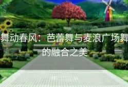 舞动春风：芭蕾舞与麦浪广场舞的融合之美