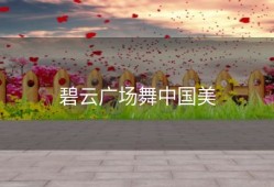 碧云广场舞中国美