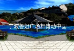 宁波鲁姐广场舞舞动中国