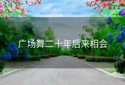 广场舞二十年后来相会