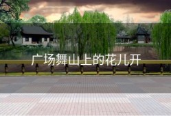广场舞山上的花儿开