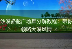 沙漠骆驼广场舞分解教程：带你领略大漠风情