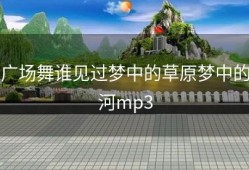 广场舞谁见过梦中的草原梦中的河mp3