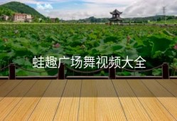 蛙趣广场舞视频大全