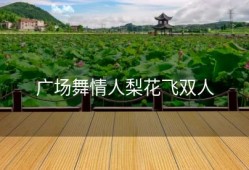 广场舞情人梨花飞双人