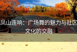 凤山连响：广场舞的魅力与社区文化的交融