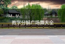 教学分解广场舞大全