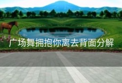 广场舞拥抱你离去背面分解