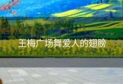 王梅广场舞爱人的翅膀