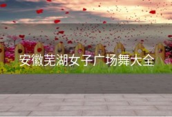 安徽芜湖女子广场舞大全