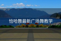 恰哈舞最新广场舞教学