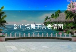 跳广场舞无奈表情图