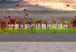 甘肃大妈广场舞视频播放