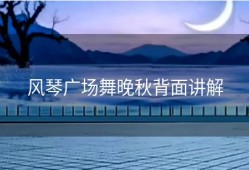 风琴广场舞晚秋背面讲解