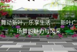 舞动新叶，乐享生活——新叶广场舞的魅力与风采