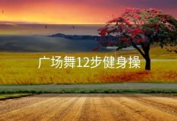 广场舞12步健身操