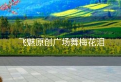 飞魅原创广场舞梅花泪